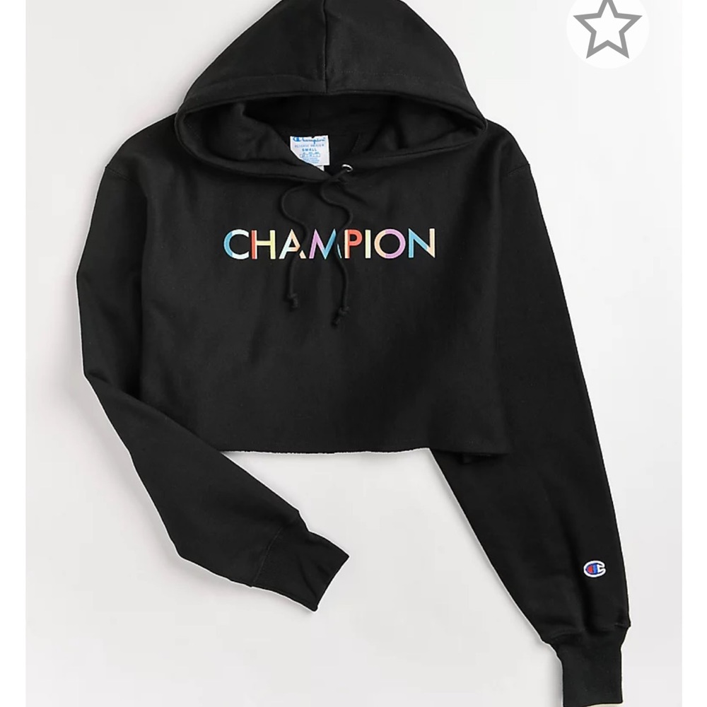 Champion crop hoodie size large
